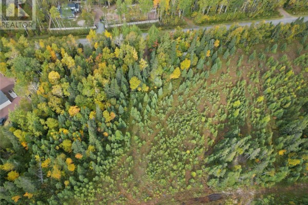 111b Sandy Point Road, Norris Arm, NL A0G3M0 Photo 3