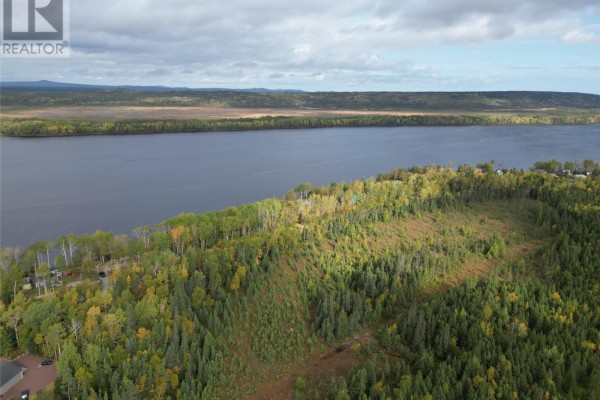 111b Sandy Point Road, Norris Arm, NL A0G3M0 Photo 5