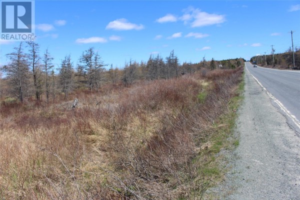 112-114 Southern Shore Highway, Bay Bulls, NL A0A1C0 Photo 4
