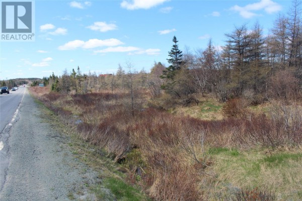 112-114 Southern Shore Highway, Bay Bulls, NL A0A1C0 Photo 5