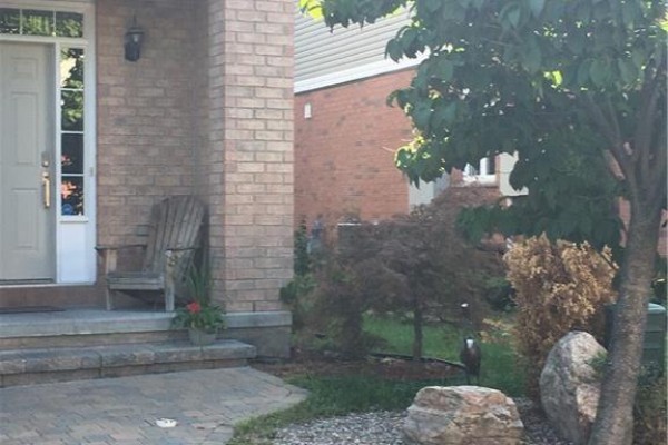 Close-up of the townhouse entrance with a wooden chair and landscaping. - 112 Gatespark Private Private E, Ottawa