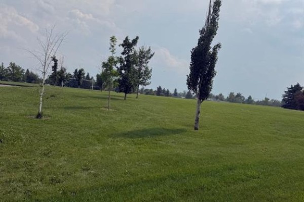 View of the side exterior and lawn of the house with a beige fence panel. - 112 Huntstrom Drive Ne, Calgary