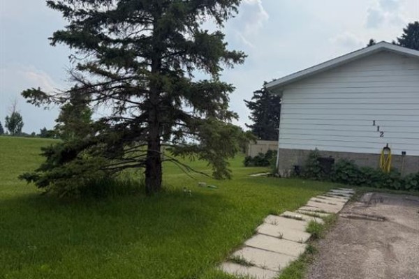 Expansive green lawn with scattered young trees and a distant treeline under a cloudy sky. - 112 Huntstrom Drive Ne, Calgary