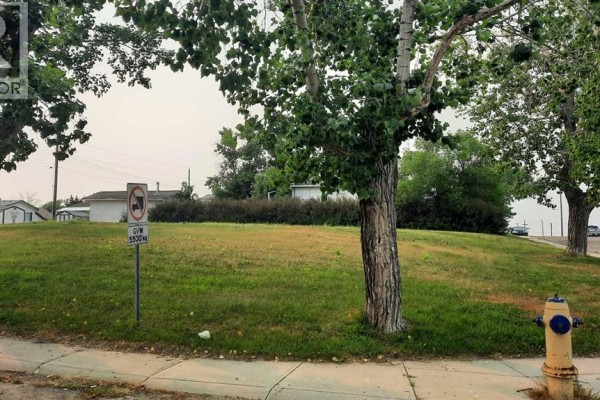 Street view of lot 112 showing a grassy area with trees and a fire hydrant. - 112 Railway Avenue S, Morrin