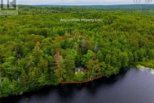 Aerial view of a yellow house nestled amongst dense green trees on the shore of a dark lake. - 112 Thomas Lake Road, Milford