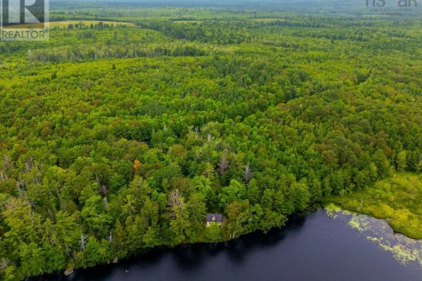 View of a yellow house from the lake, featuring a wooden deck with chairs and lush green trees. - 112 Thomas Lake Road, Milford