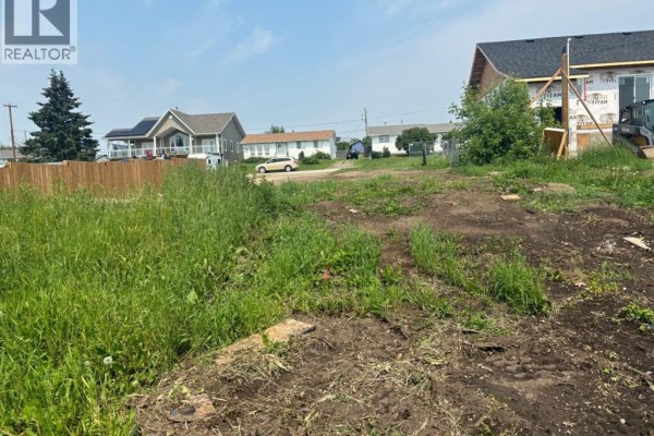 11209 108 Avenue, Fairview, AB T0H1L0 Photo 3