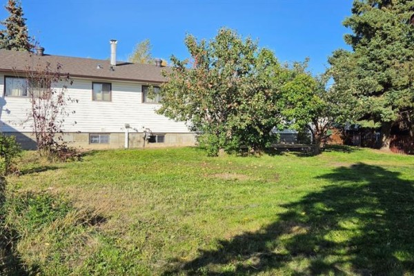 Backyard view showing a white house, lawn, and mature trees on a sunny day. - 11221 102 Avenue, Fairview