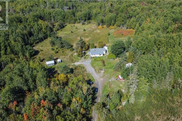 Aerial view of the house and outbuildings set within a vast forested landscape. - 1123 Regional Road 10, Whitefish