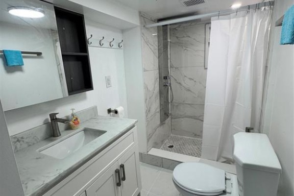 A bathroom featuring a white vanity, marble-tiled shower, and white toilet with a shower curtain. - 1124 Janette Avenue Unit# Lower, Windsor