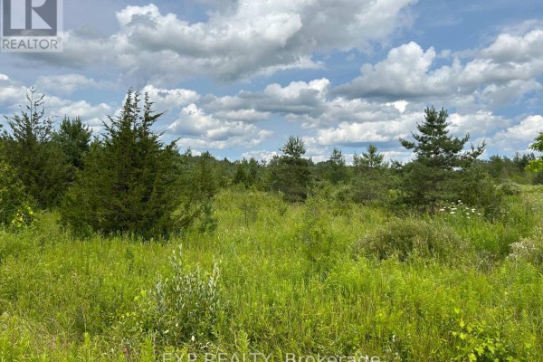 1125 Wood Road, Tay, ON, photo 3