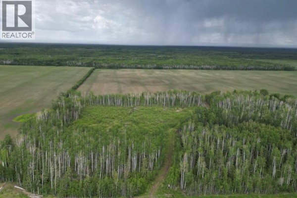11276 Twp Rd 1064, La Crete, AB T0H2H0 Photo 5