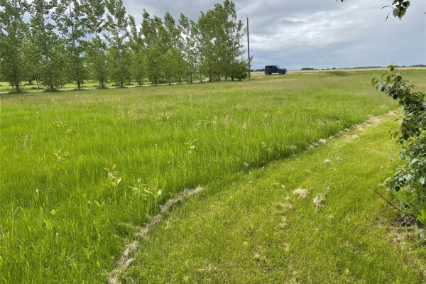 113 Bayduza Drive, Dauphin, MB R7N2T3 Photo 4