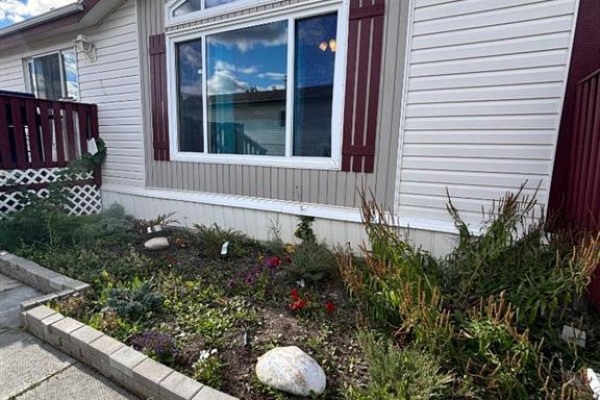 Close up of a flower bed with colorful plants in front of a mobile home. - 113 Clark Crescent, Rural Grande Prairie No  1, County Of