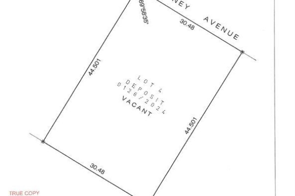 113 Goudney Avenue, Pilot Mound, MB R0G1P0 Photo 4
