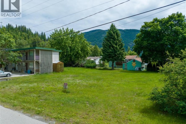 113 Motel Avenue, Salmo, BC V0G1Z0 Photo 5