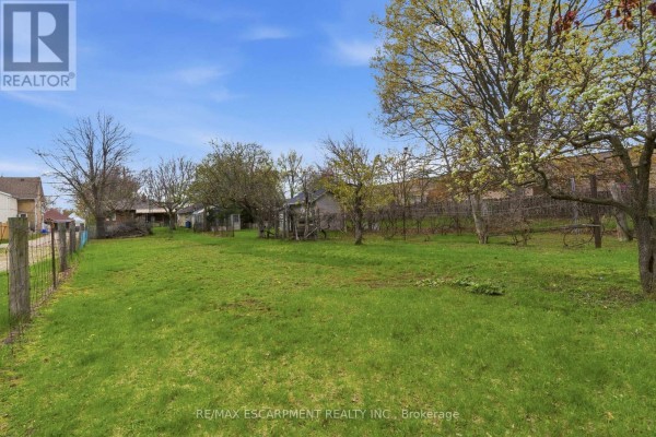 Wide backyard view showing green grass and mature trees under a blue sky. - 113 North Park Street, Brantford