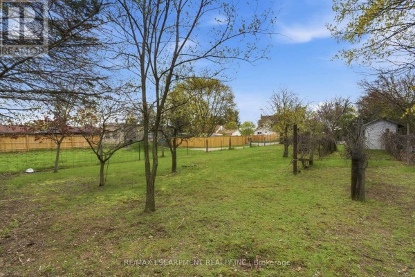 Backyard with grass, trees, and wooden fence with trellises and a small shed. - 113 North Park Street, Brantford