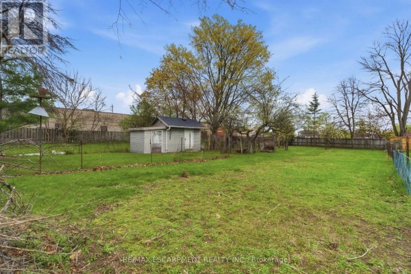 Backyard view with a small grey shed and trees on a sunny day. - 113 North Park Street, Brantford