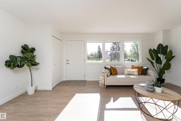 Living area with light wood floors, white walls, sofa, large windows, and decorative plants. - 113 Village On The Green Gr Nw, Edmonton
