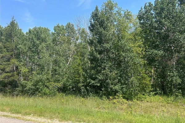 113041 49 Pitt Road, Traverse Bay, MB R0E2A0 Photo 2