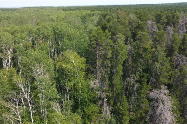 113041 49 Pitt Road, Traverse Bay, MB R0E2A0 Photo 3