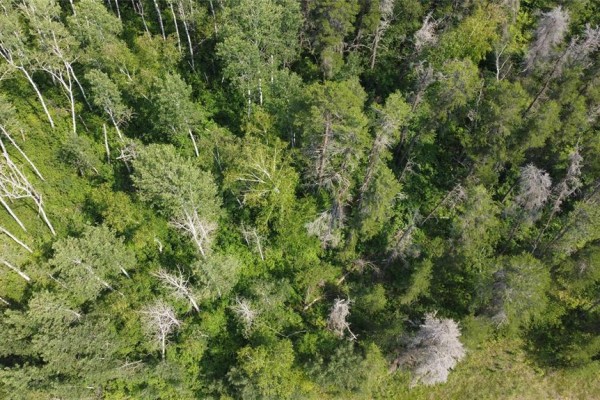 113041 49 Pitt Road, Traverse Bay, MB R0E2A0 Photo 4