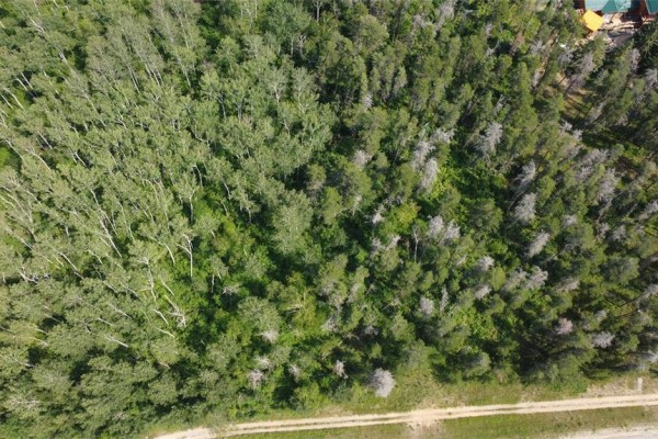 113041 49 Pitt Road, Traverse Bay, MB R0E2A0 Photo 5