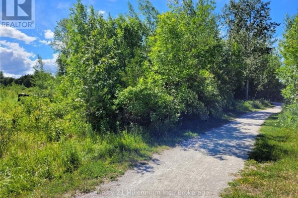 11325 26 Highway, Collingwood, ON, photo 2
