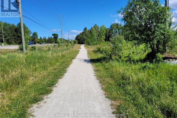 11325 26 Highway, Collingwood, ON, photo 3