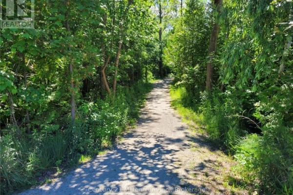 11325 26 Highway, Collingwood, ON L9Y5H8 Photo 5