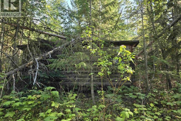 11328 E 16 Highway, Valemount, BC, photo 3