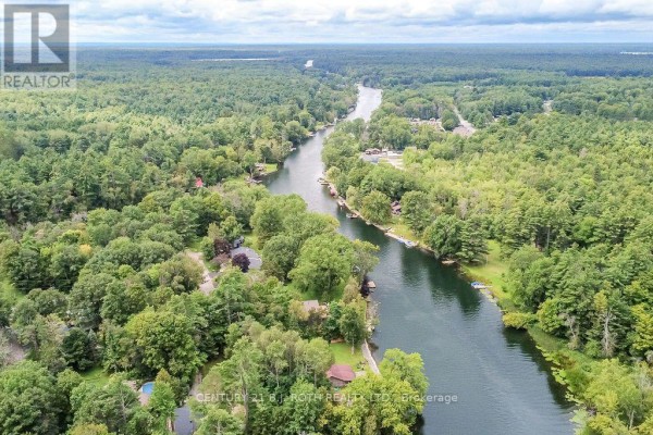 High aerial view of a winding river with houses and dense green forest on both sides. - 1133 Severn River Road, Gravenhurst