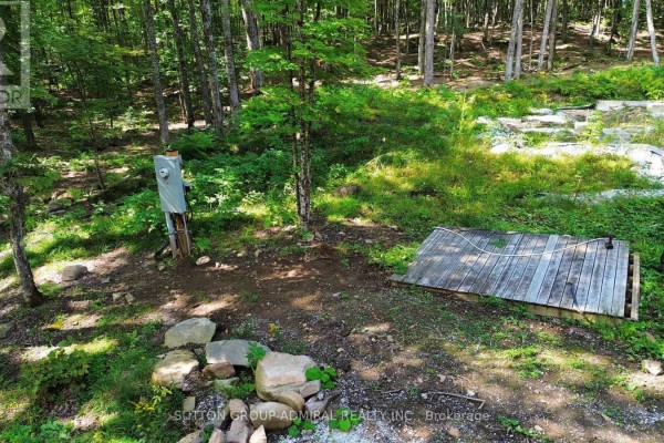 1135 Ross Lake Road, Dysart Et Al, ON K0M1S0 Photo 4