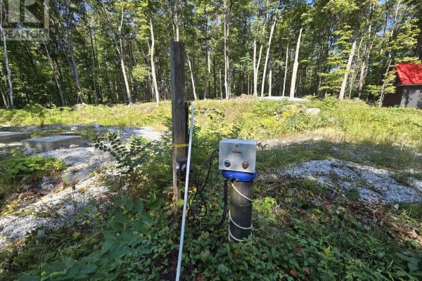 1135 Ross Lake Road, Dysart Et Al, ON K0M1S0 Photo 5