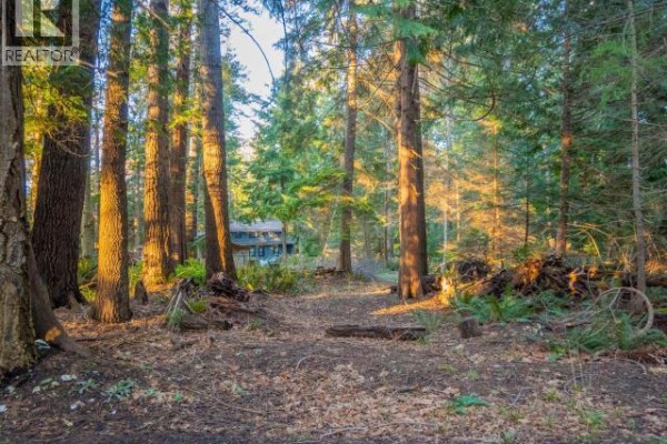 1136 Herchmer Road, Savary Island, BC V8A0G7 Photo 4