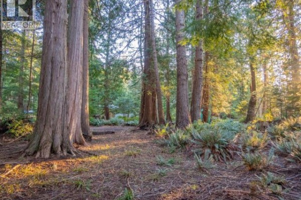 1136 Herchmer Road, Savary Island, BC V8A0G7 Photo 5