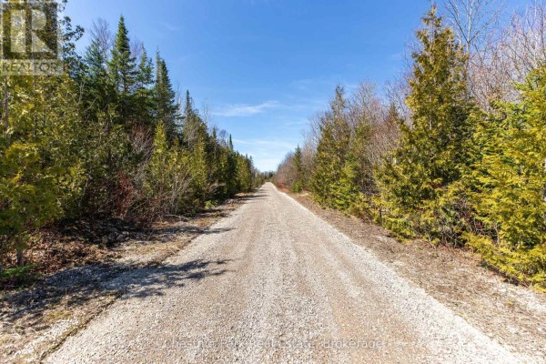 Bedroom 2 - 1137 Sunset Drive, South Bruce Peninsula, ON N0H2T0 Photo 4