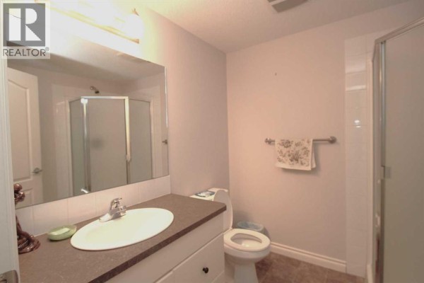 Laundry room - 114, 6 Michener Boulevard, Red Deer, AB T4P0K5 Photo 5