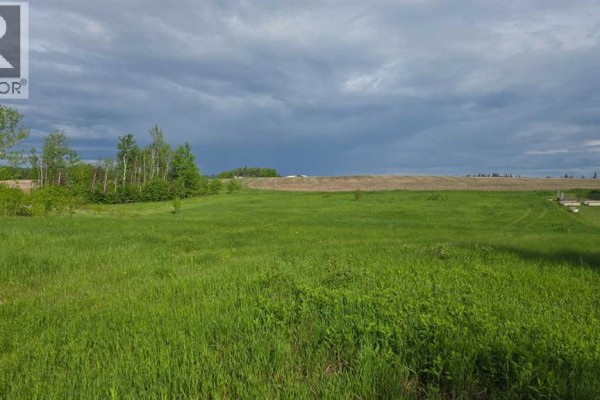 #114  15421 Old Trail, Plamondon, AB T0A2T0 Photo 4