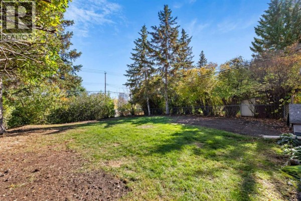 View of the backyard with grass, dirt, and mature trees. - 114 Havenhurst Crescent Sw, Calgary