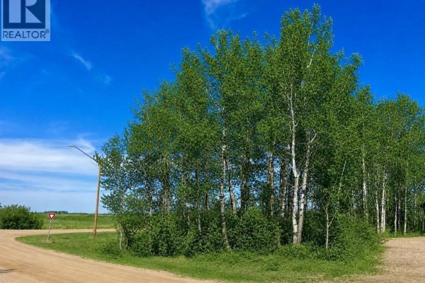 Leafless birch trees line a gravel road under a bright blue sky with scattered white clouds. - 114 James Street, Good Spirit Lake
