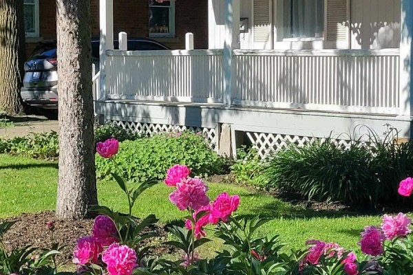 114 Main Street, Markham, ON, photo 2