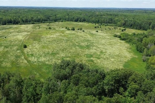 114.9 Acres Little River Drive, Bathurst, NB E2A6M4 Photo 2