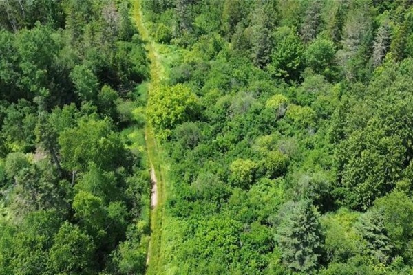 114.9 Acres Little River Drive, Bathurst, NB E2A6M4 Photo 3