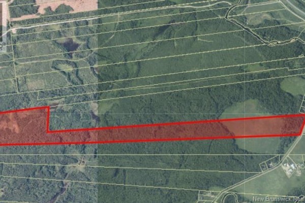 114.9 Acres Little River Drive, Bathurst, NB E2A6M4 Photo 4