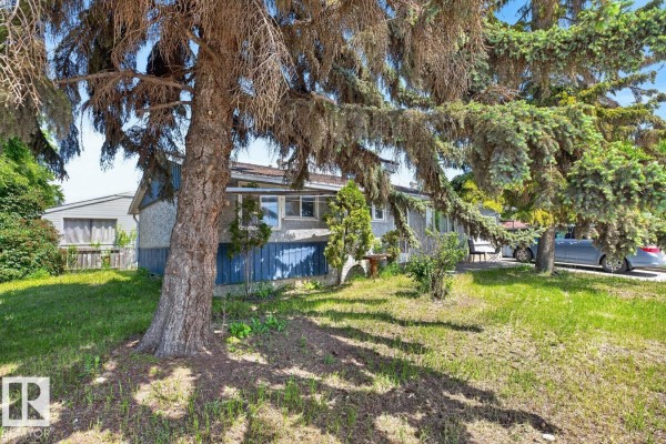 Kitchen - 11408 127 Av Nw, Edmonton, AB T5E0C6 Photo 2