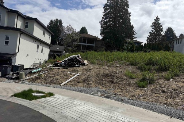 11426 138a Street, Surrey, BC V3R2P3 Photo 3