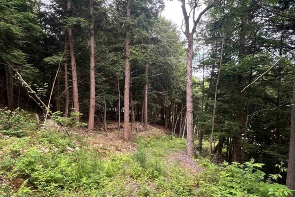 1149 Golden Beach Road, Bracebridge), ON P1L1W8 Photo 3
