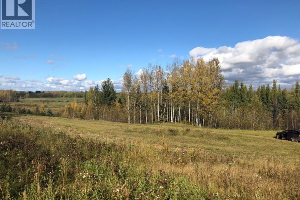 115, 16326 Twp Rd 675, Plamondon, AB T0A2T0 Photo 4